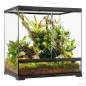 Preview: Pro Terrarium